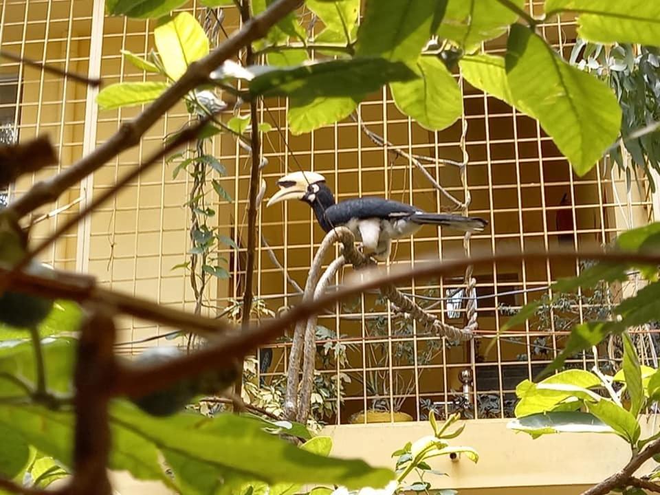 Devi Music Ashram Bed and Breakfast Rishīkesh Εξωτερικό φωτογραφία